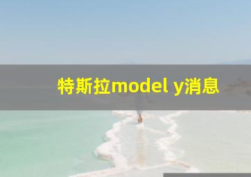 特斯拉model y消息